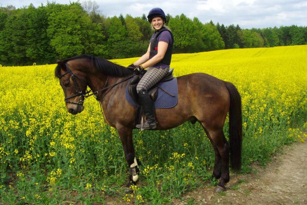 Ponyhof Naeve Am Wittensee 그로스비텐지 외부 사진